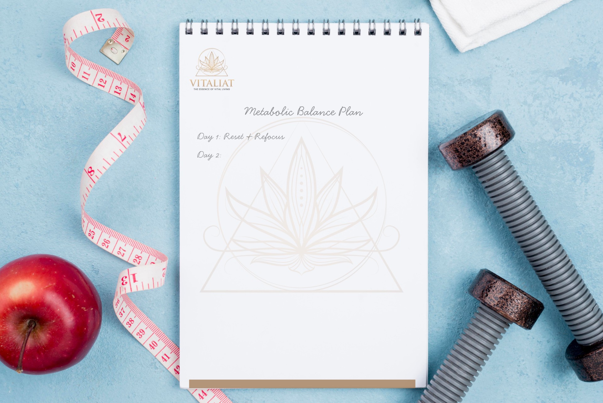 Metabolic Balance® Reset Program