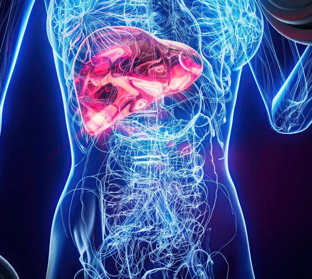 Liver Detox & Metabolic Reset - Course